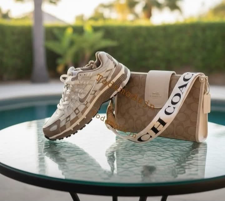Combos Nike/coach